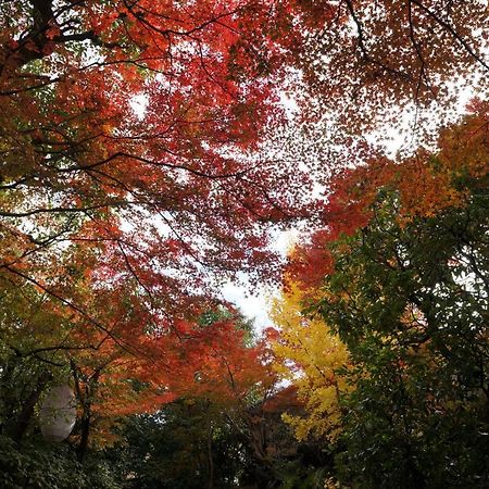 Suminagi Shinpontocho Aparthotel Киото Екстериор снимка